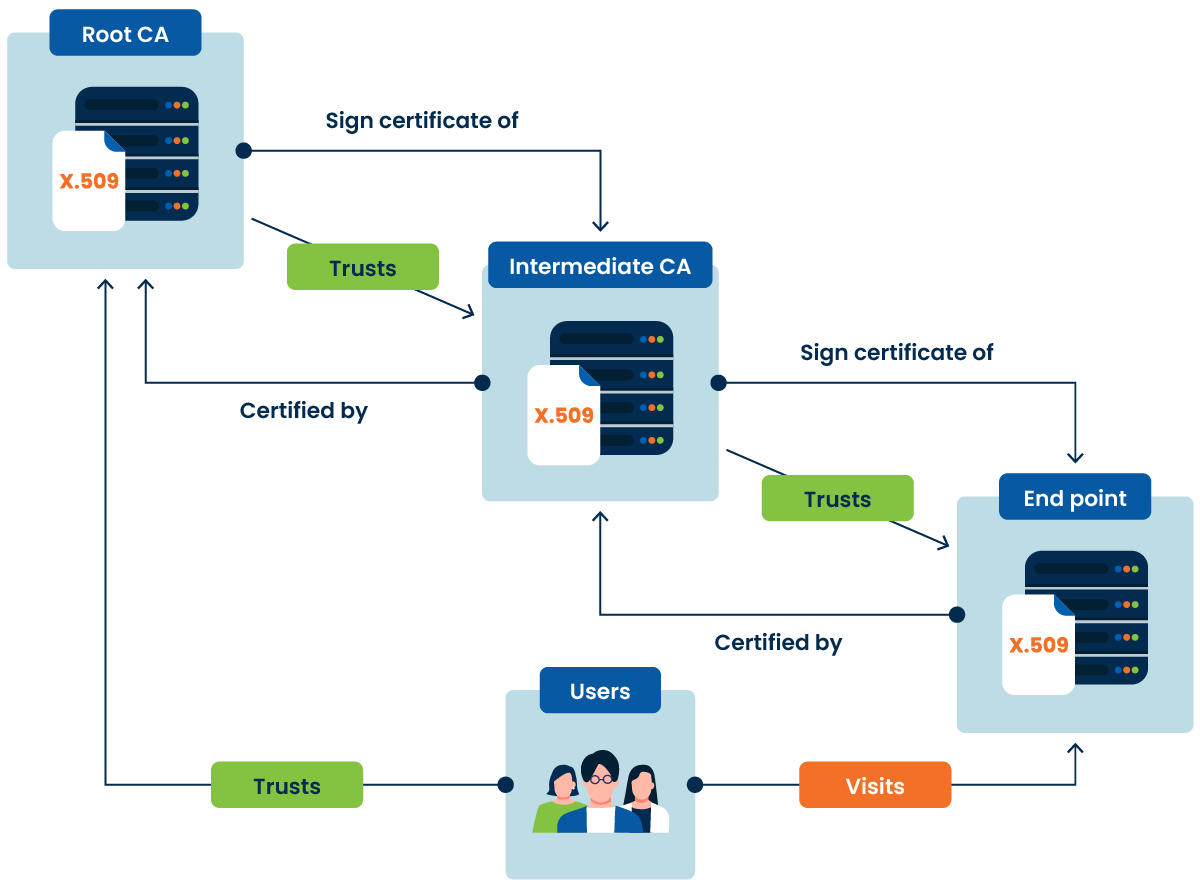 Chain of Trust Infographic 