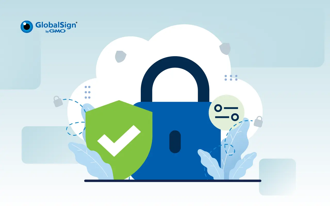 What Are the Benefits of Premium SSL Certificates? | Beyond Encryption