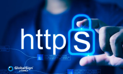 The Importance of a Paid SSL Certificate from a Trusted Certificate Authority