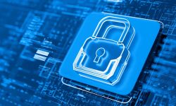 Safeguarding Your Digital Identity Year-Round